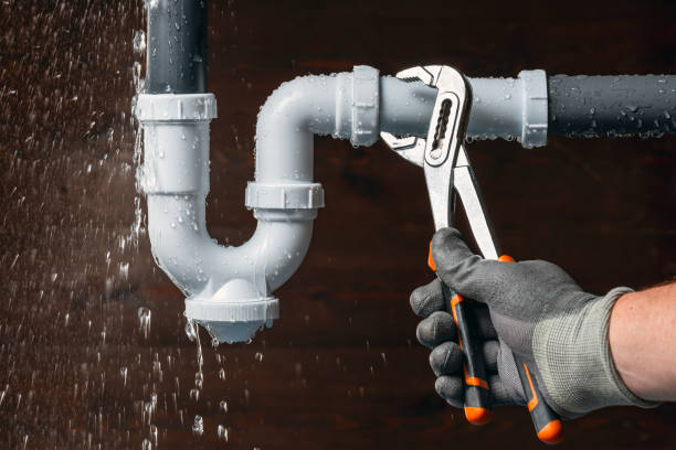 Professional Leak Detection technician working in Rougon, LA